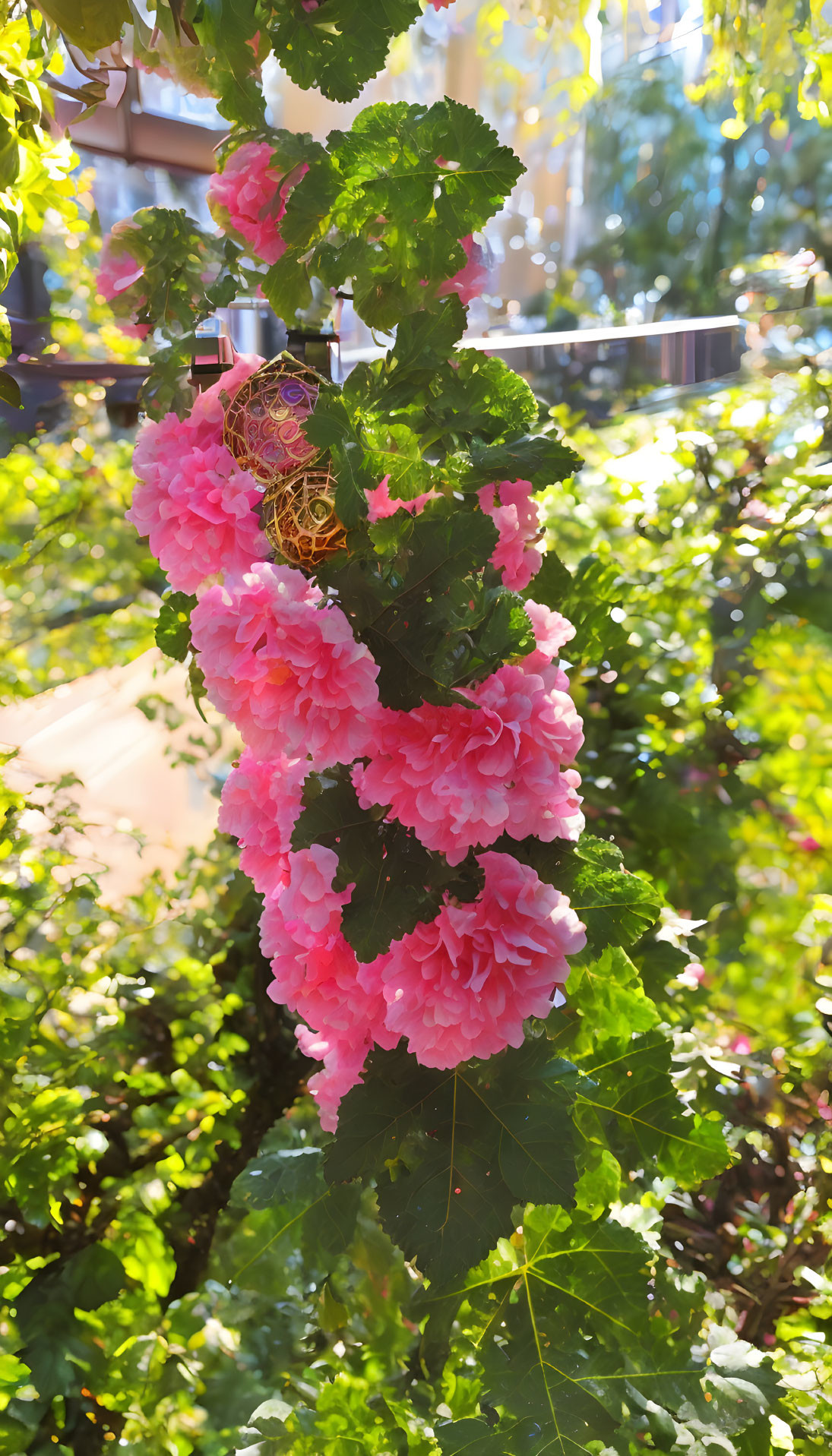 Vibrant pink flowers blooming on green shrub in urban oasis