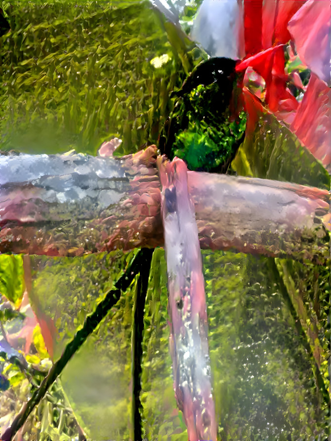 Red-Bill Streamertail Hummingbird 