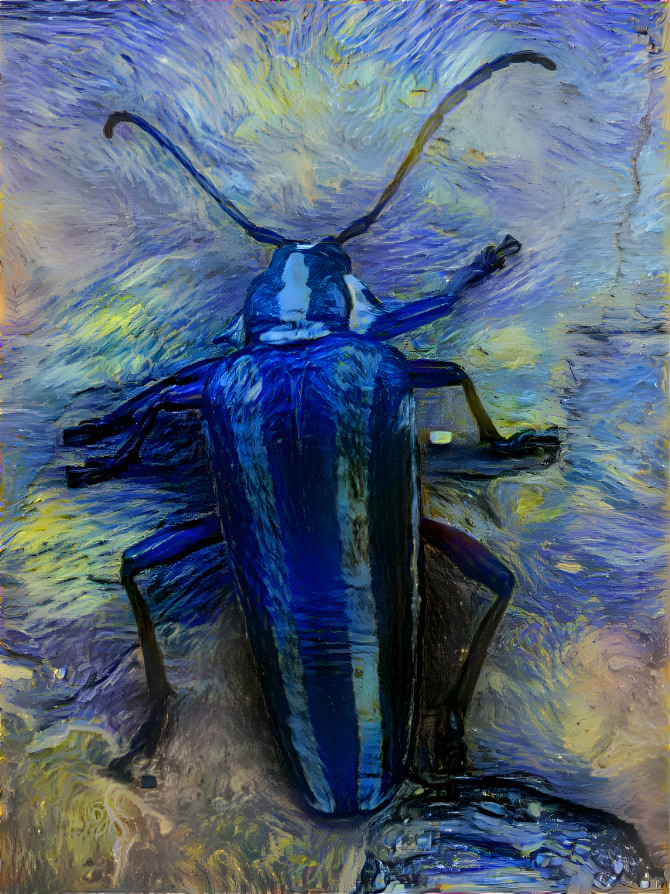 Long Horn Beetle