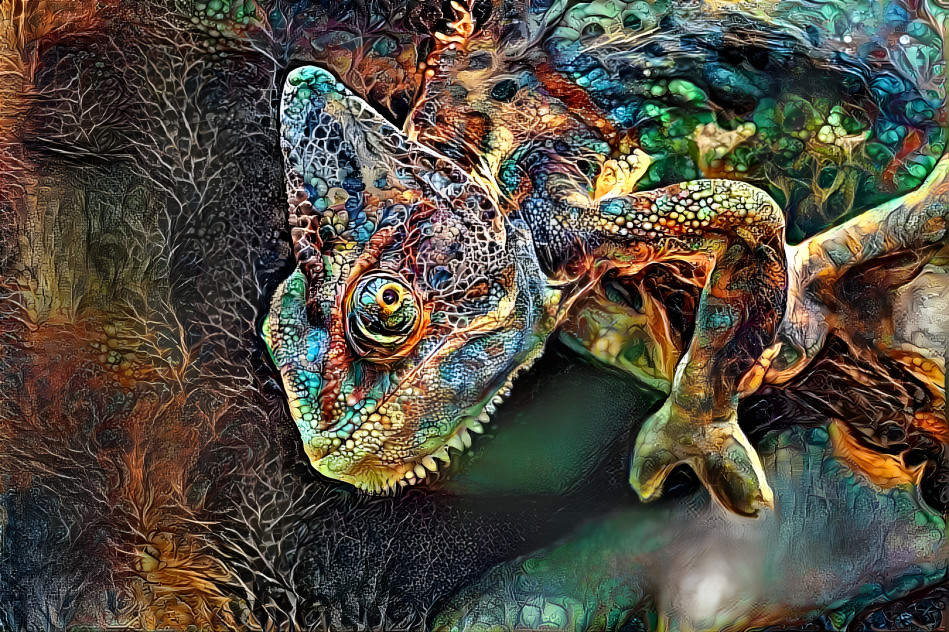 Chameleon