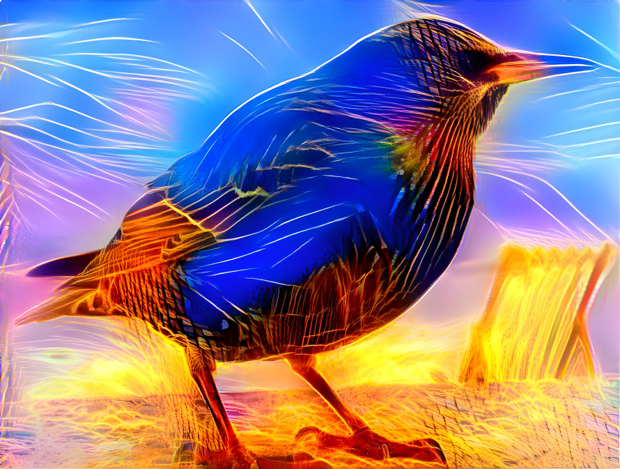 Electric starling