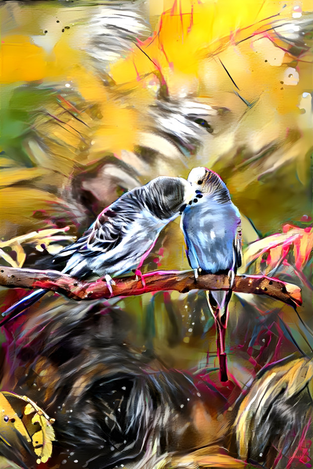 Kissing Parakeets