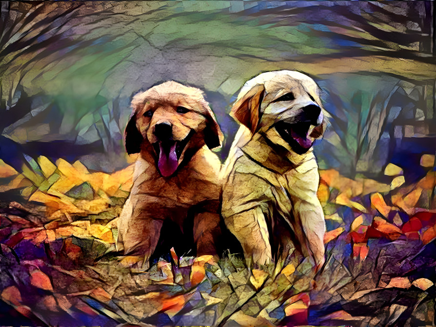 Puppies