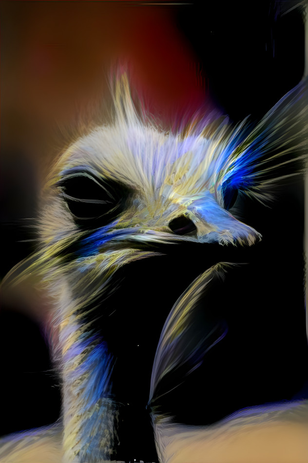 Ostrich