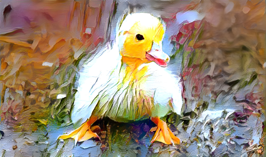 Ducky