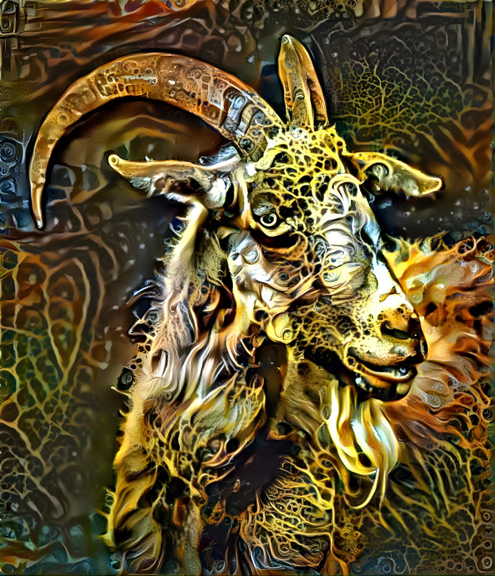 Capricorn