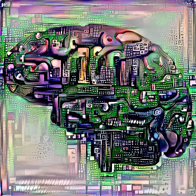 circuit brain 1