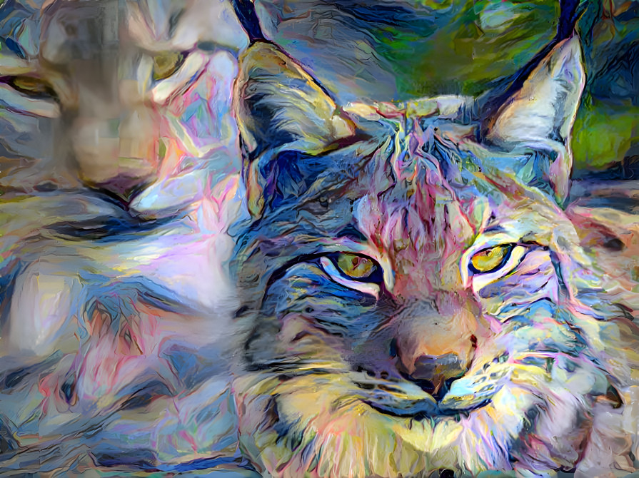 Lynx