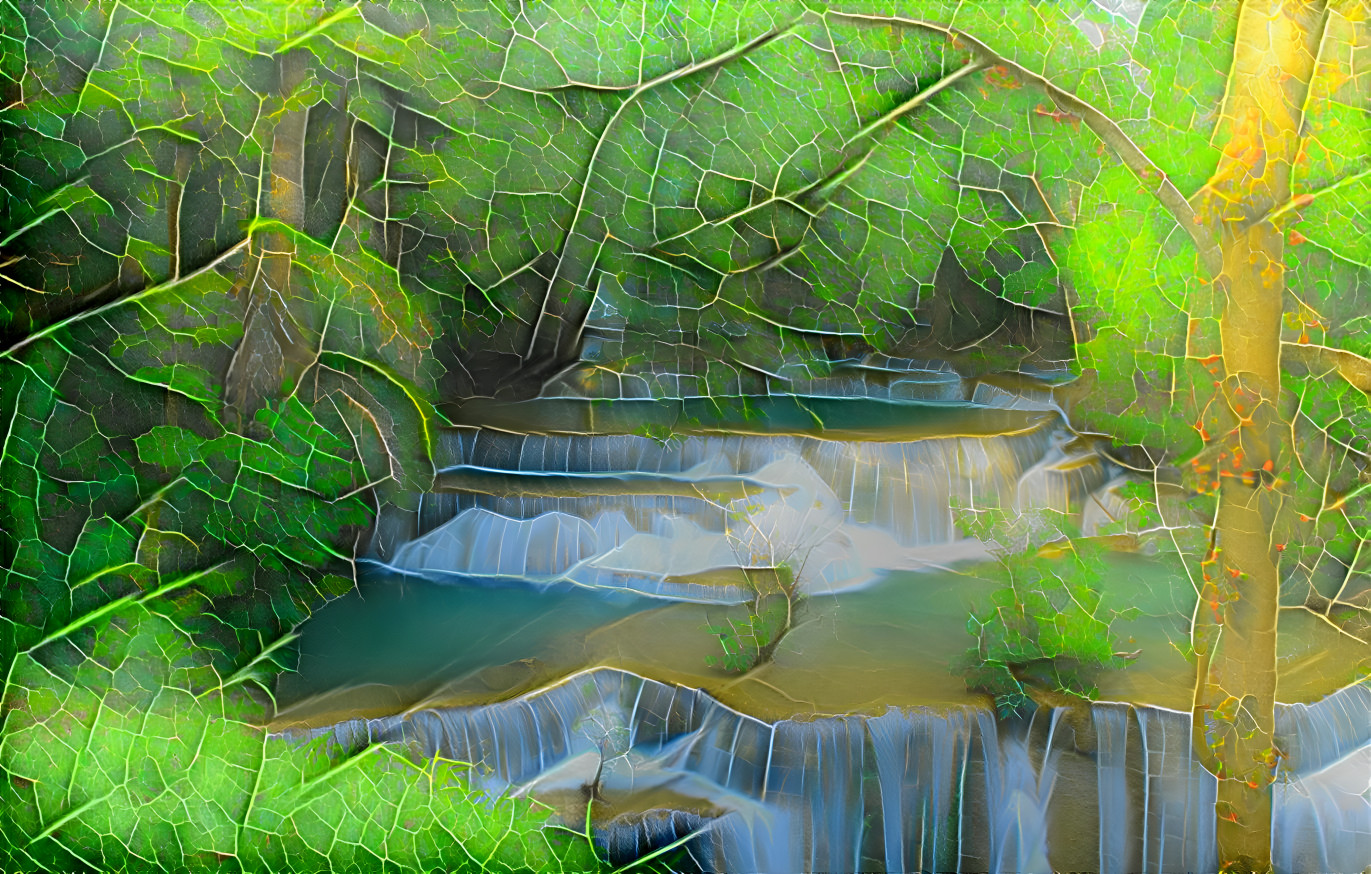 Forest waterfall