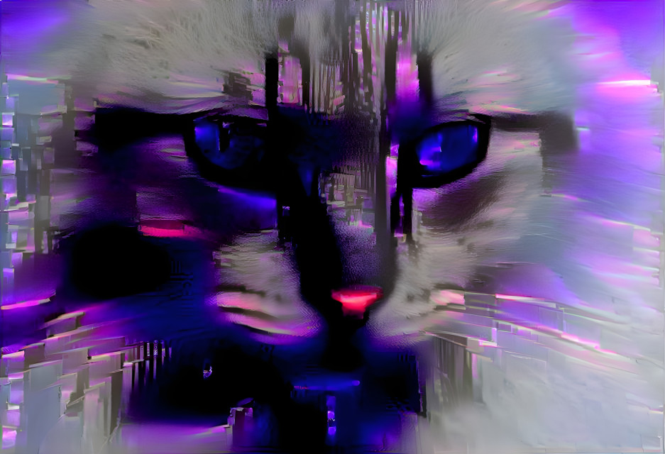 purple cat