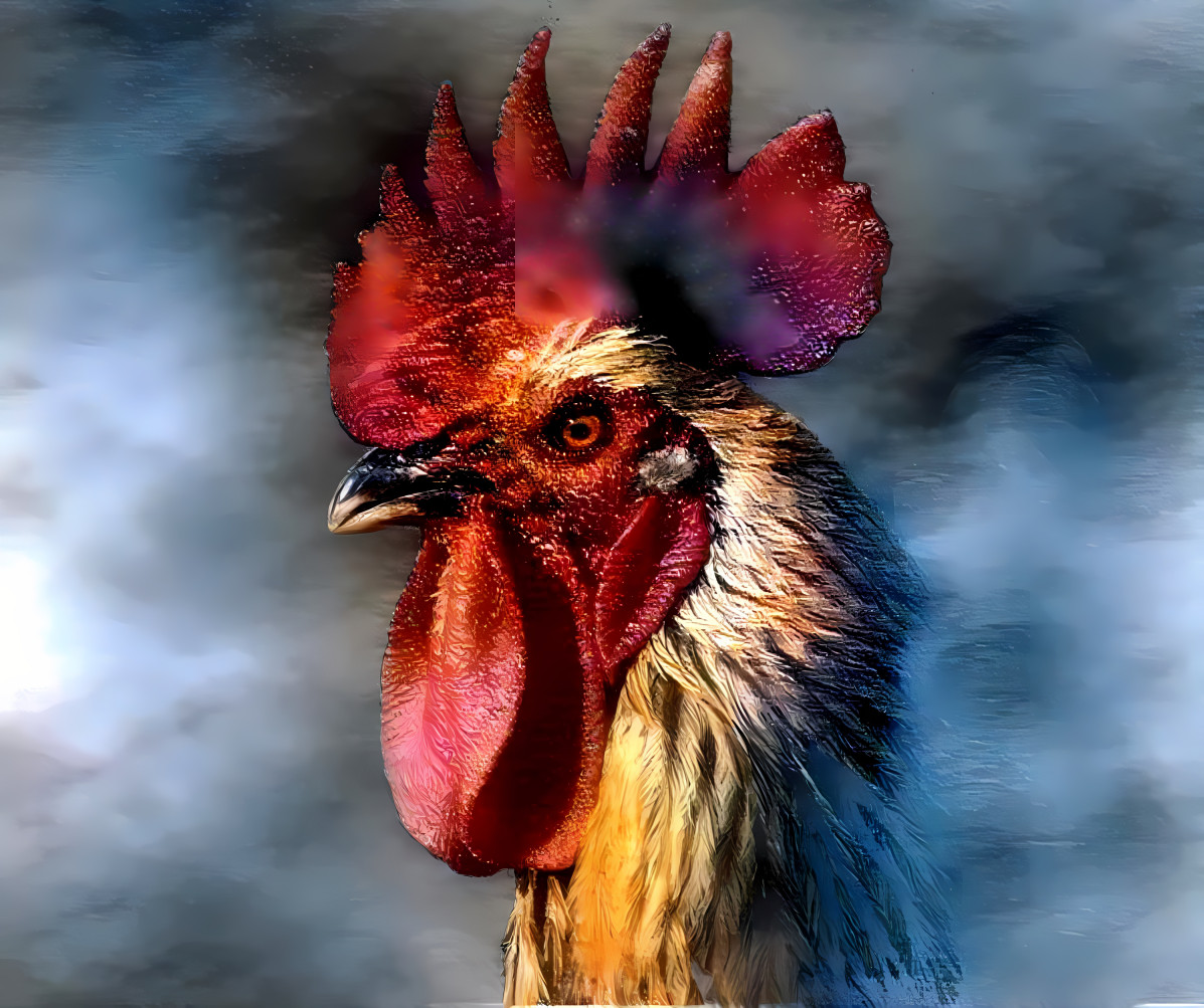 Coq