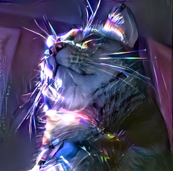 CyberCat