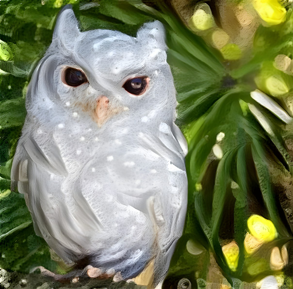 Owl