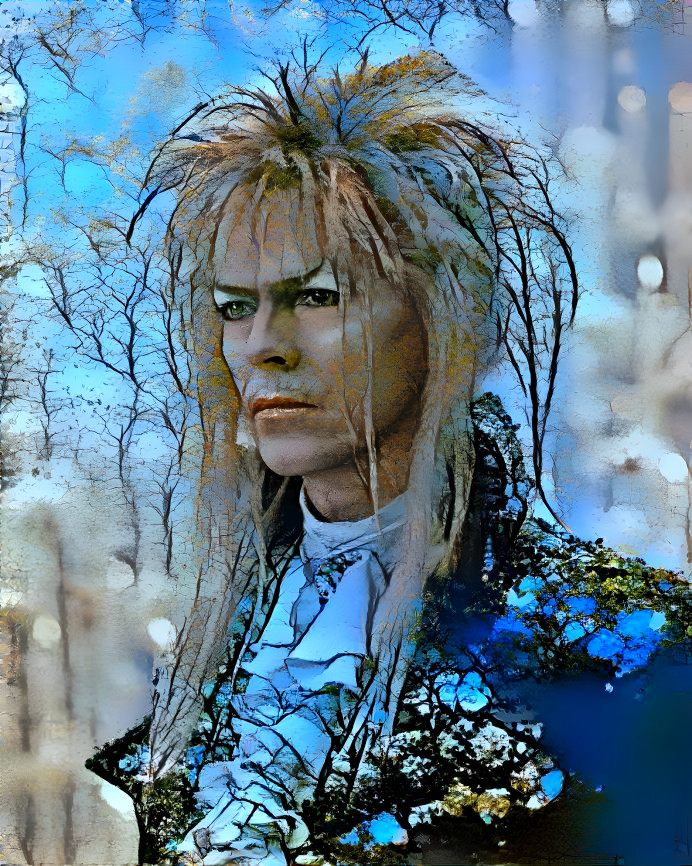 Jareth