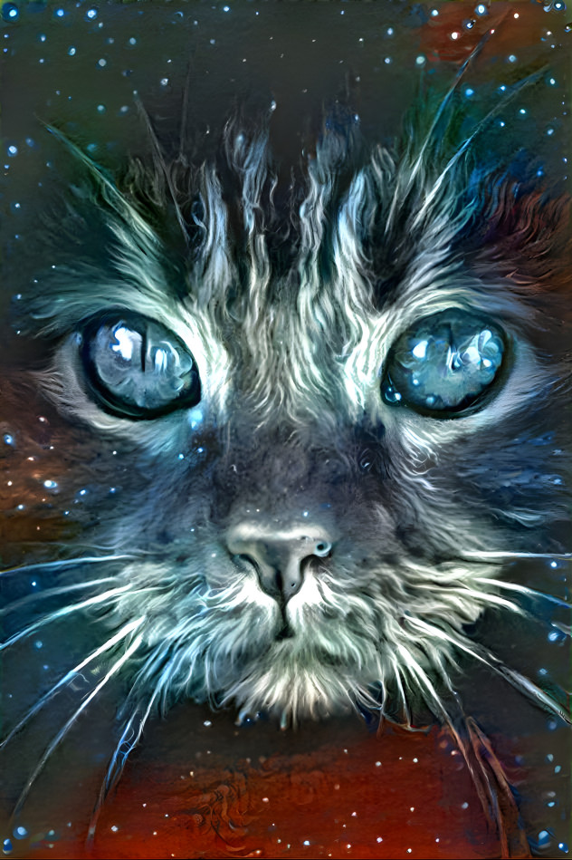 galaxy of Puss