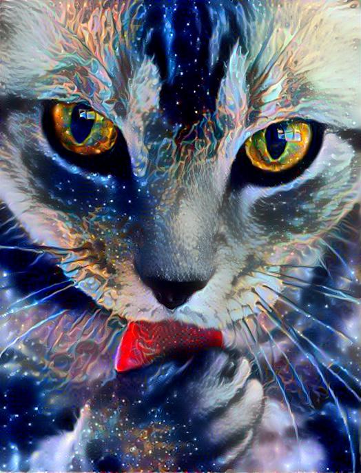 Cosmic Kitty