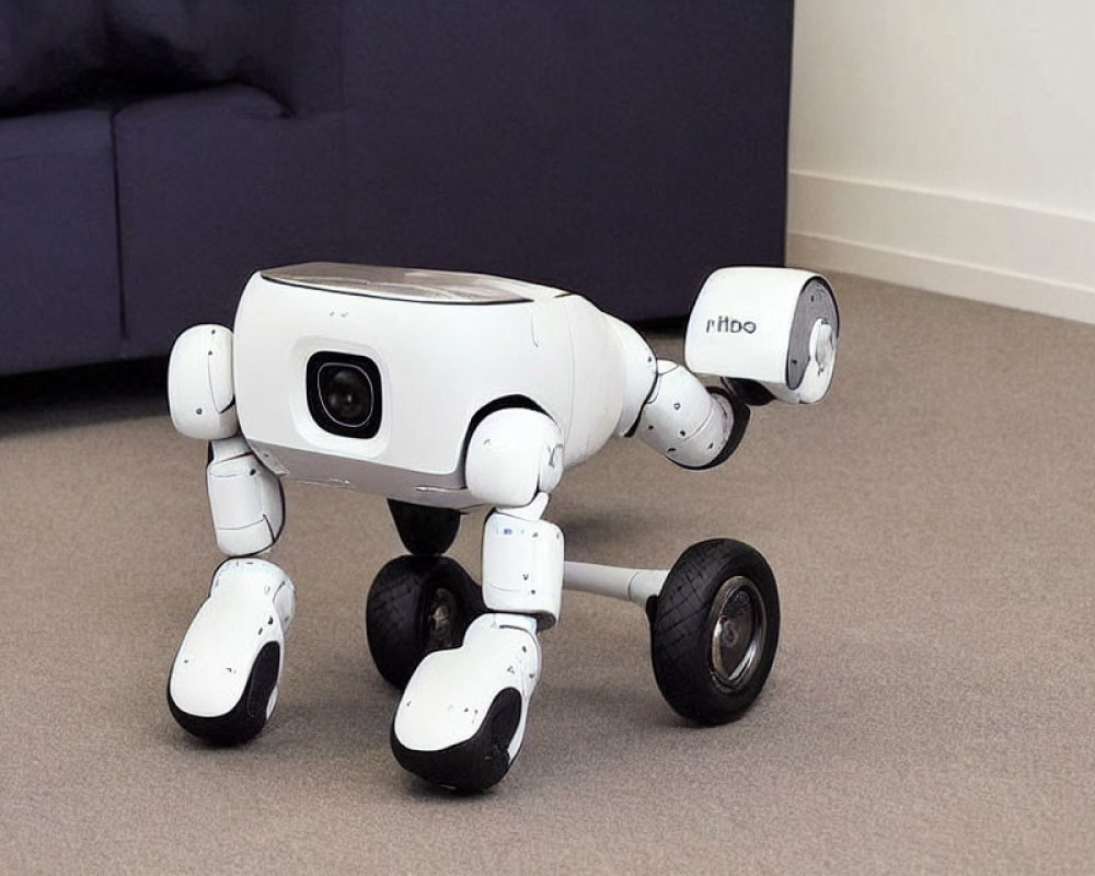 Quadruped Robot with Wheeled Base and Anthropomorphic Design