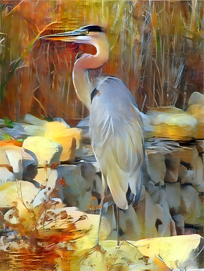 The Heron