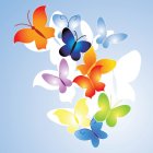 Colorful Translucent Butterflies Fluttering on Blue Background