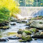 Tranquil waterfall in misty forest with golden trees