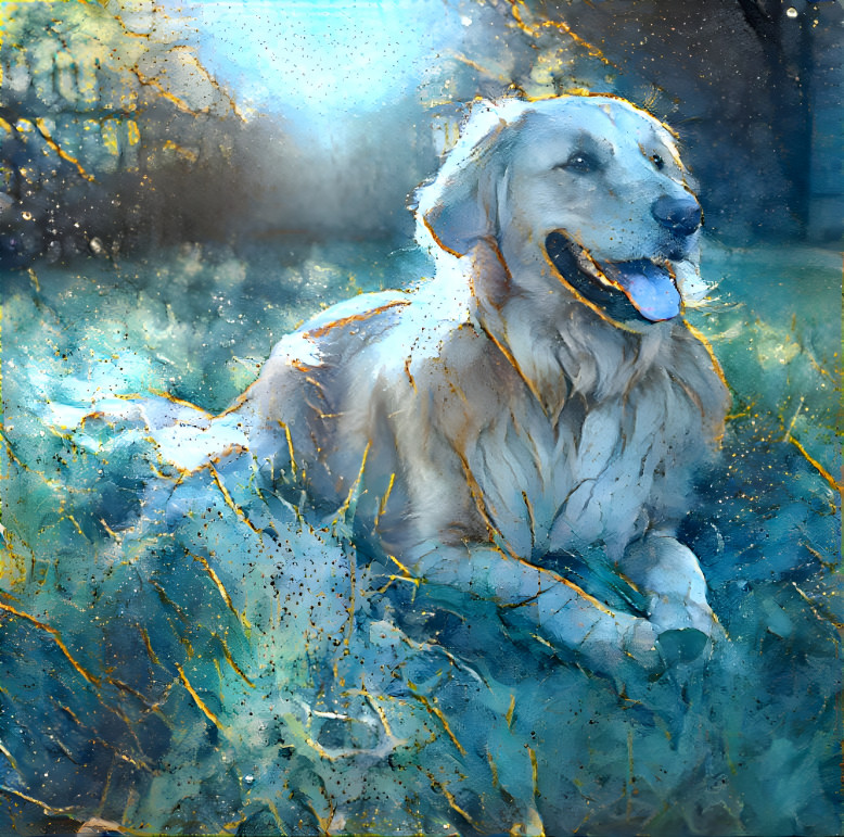 the golden retriever