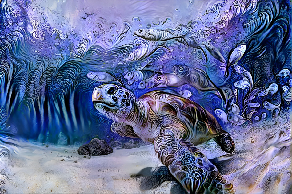 Sea Turtle