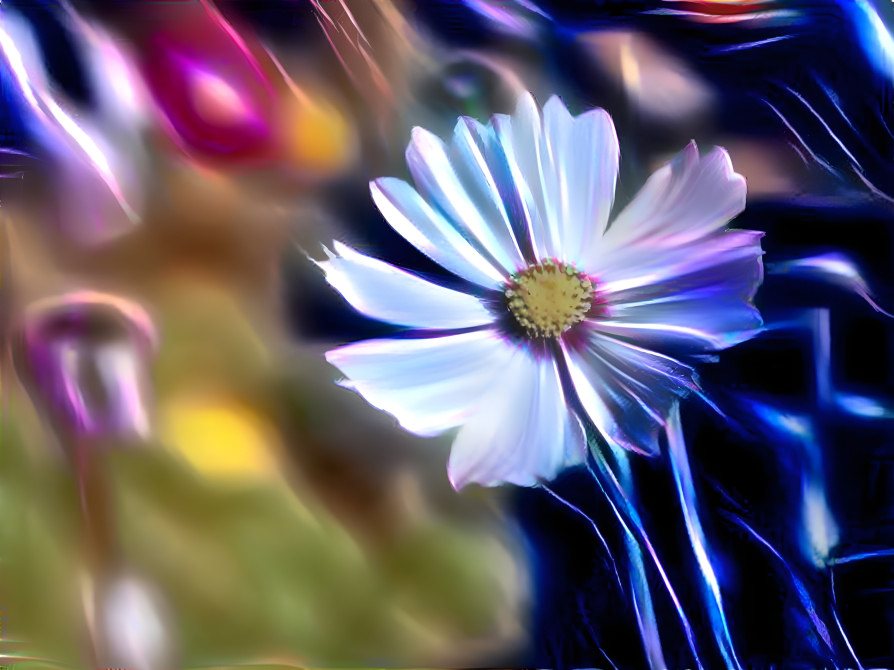 Lone Galaxy Flower