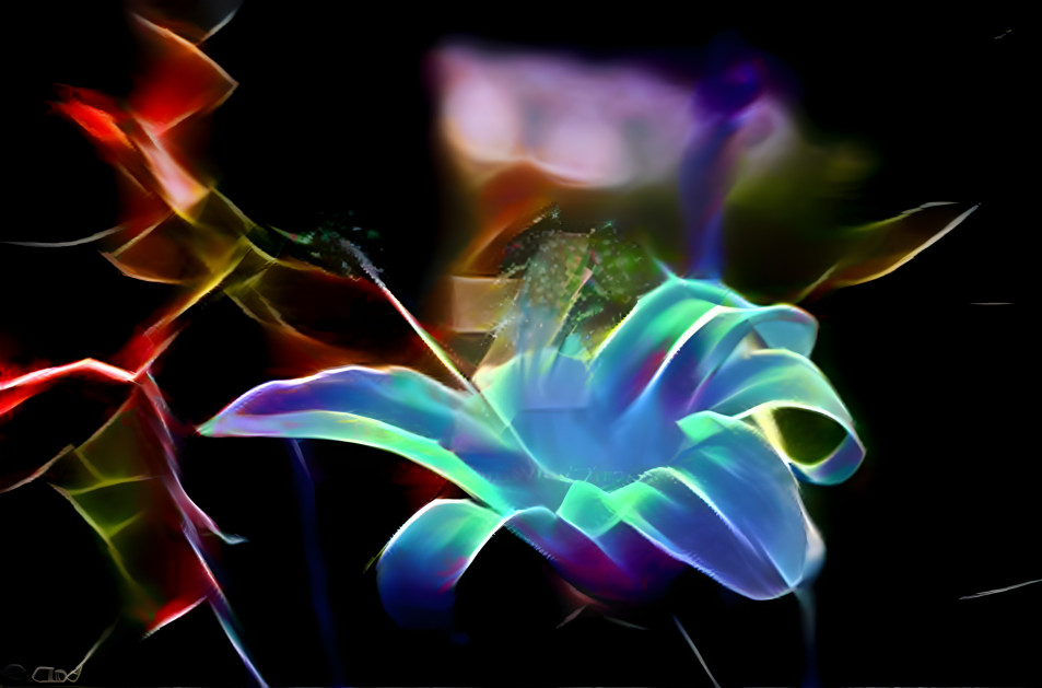 Rainbow-Neon Flower2