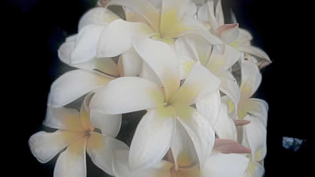 Strange White Flowers