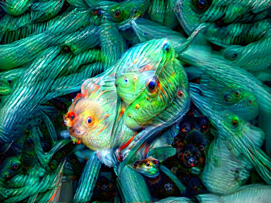 deep dream zucchini flower