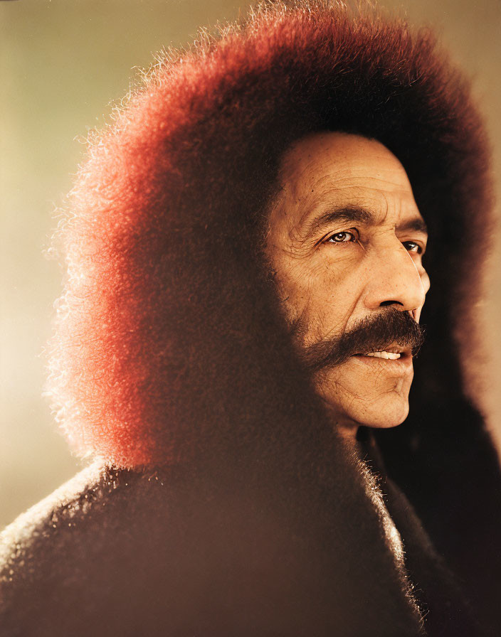 Portrait of a person with large halo-like fuzzy hairdo in warm backlit light, featuring mustache