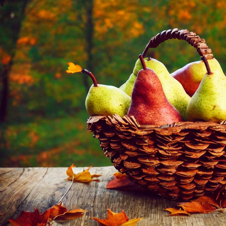 Ripe pears in pinecone basket on wooden surface with autumn background