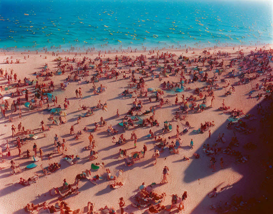 Busy Beach Scene with Sunbathers and Swimmers Under Bright Sunlight