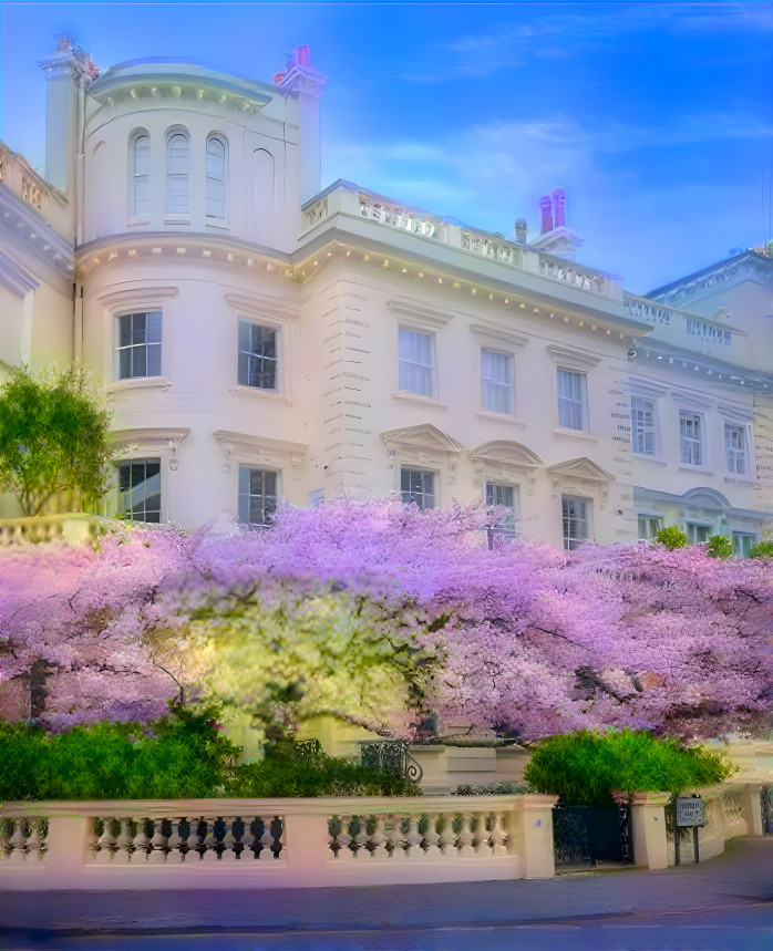 Beautiful blooms