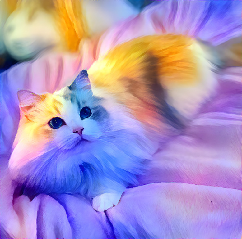 Colorful cat