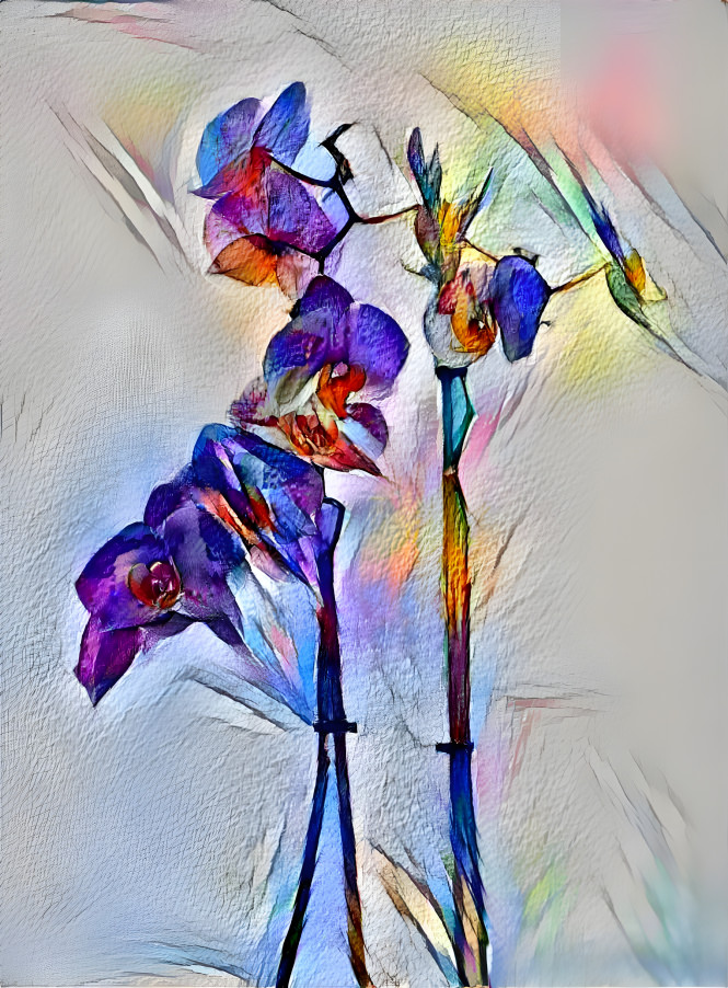 “Purple Orchid”