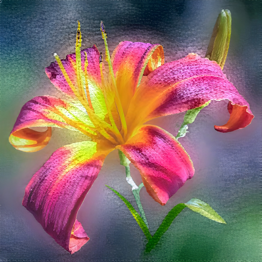 "Pink Lily"