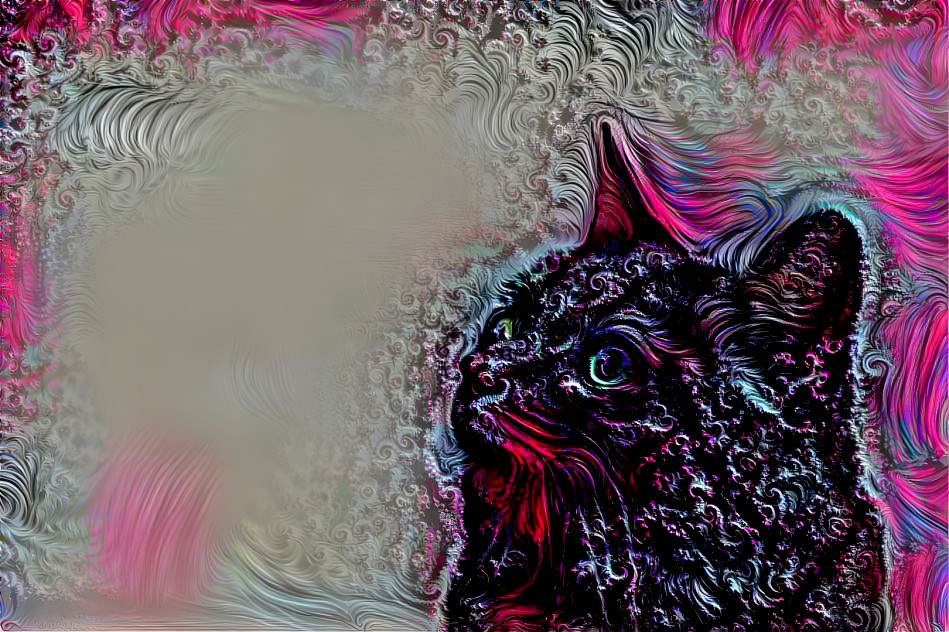 Dark CAT