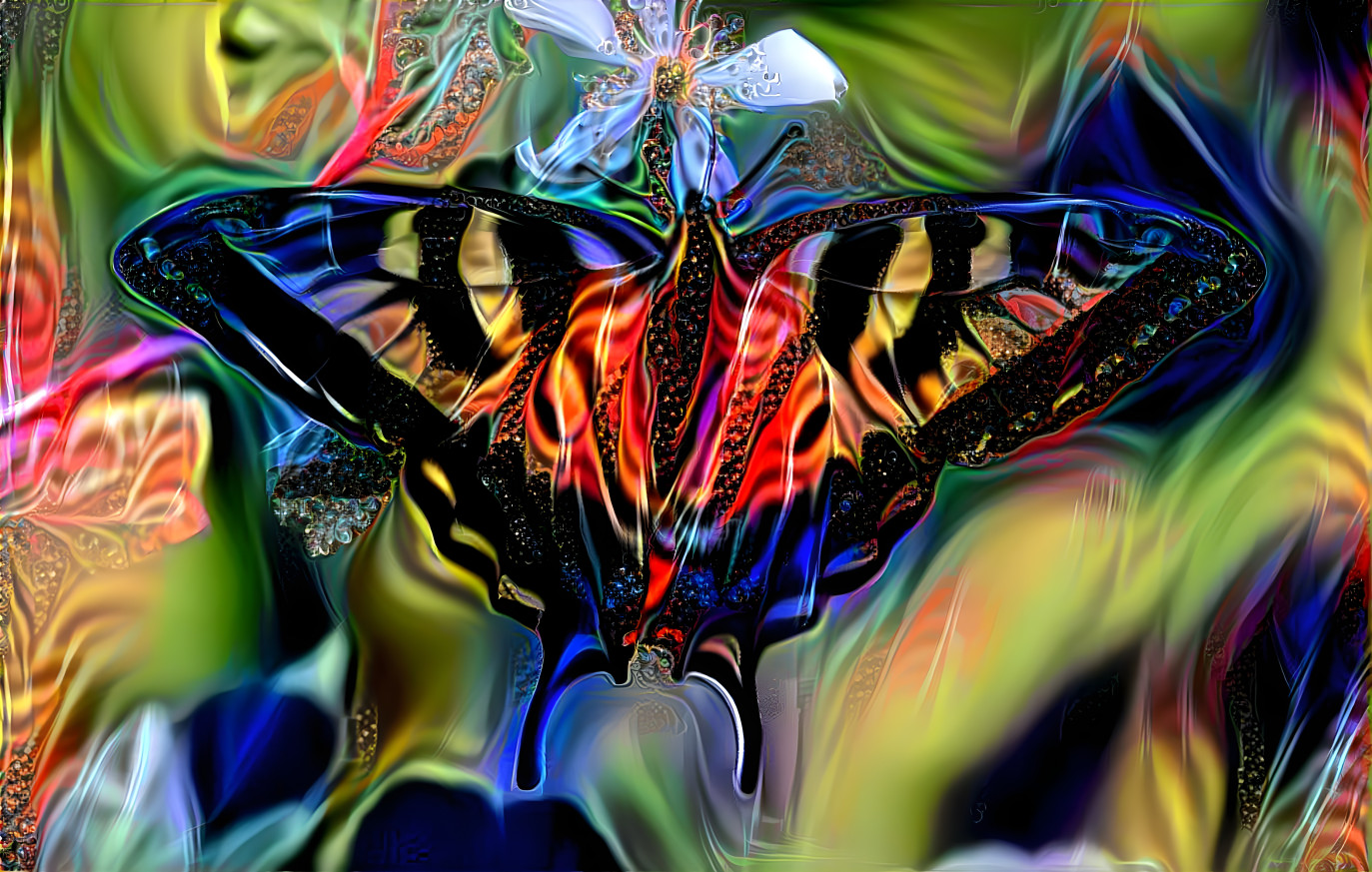 Rainbow Butterfly