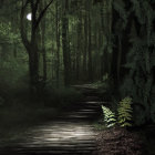 Tranquil Twilight Forest Pathway with Glowing Foliage