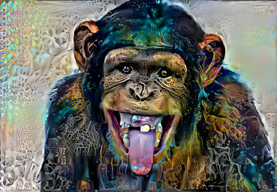 monkey