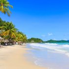 Beach scene with strolling people, flying seagulls, palm trees, and blue sky