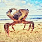 Golden robotic spider creature traversing sandy landscape under hazy sky