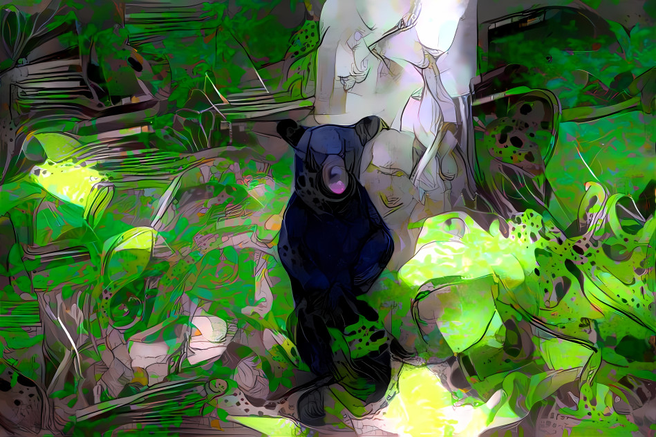 Bear cub in the woods