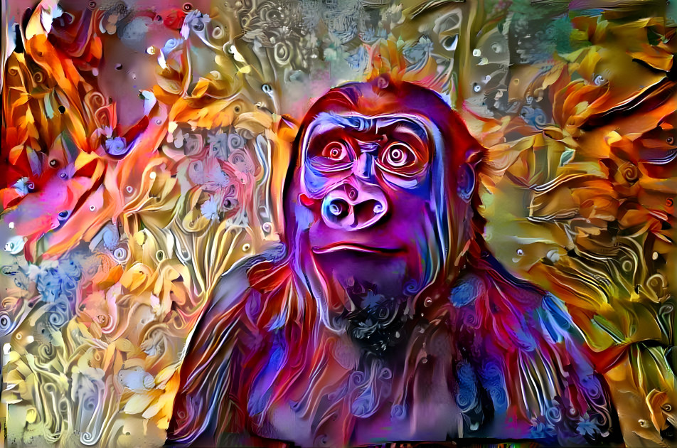 Psychedelic Monkey