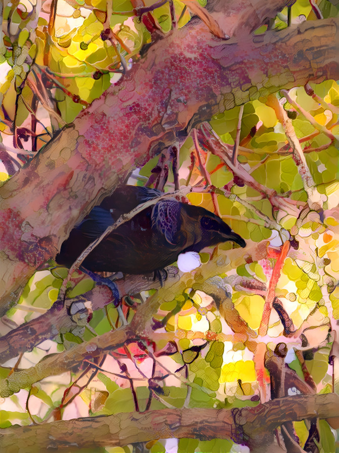 ClackGewlery, Tui Bird Cage