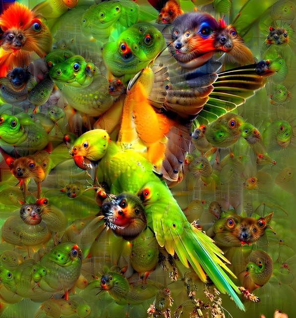 pareidolia parakeet