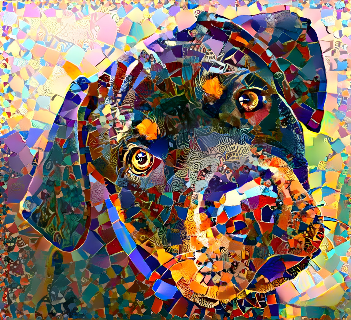 Colorful dog head