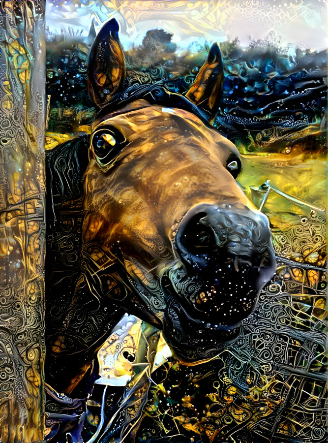 Colorful horse face