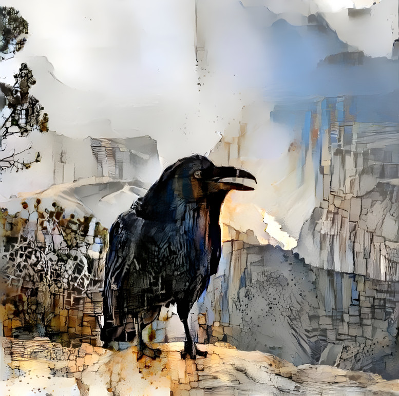 Raven at the Canyon